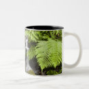 Pesquisar por musgo canecas Natureza