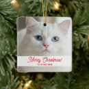 Pesquisar por peludo ornamentos Gato