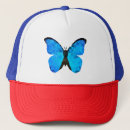 Pesquisar por borboleta azul bones Natureza