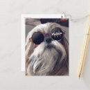 Pesquisar por monograma engraçado cartoes postais Retrô