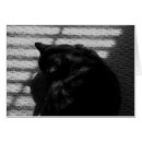 Pesquisar por gato malhado fotografia Preto e branco