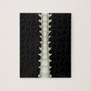 Pesquisar por lombar pôsteres De trabalho