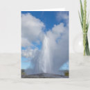 Pesquisar por fiel cartoes Geyser