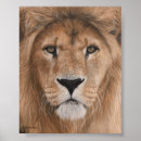 Pesquisar por leão bonito pôsteres Filhotes