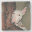 Pesquisar por bull terrier porta copos Touro inglês terrier