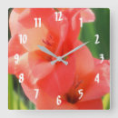 Pesquisar por gladiola Pêssego