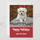 Pesquisar por cachorrinhos natal cartoes Festivo