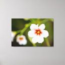 Pesquisar por flores simples impressão de canvas Qualquer pessoa