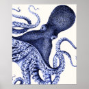 Pesquisar por polvo azul pôsteres Bobo