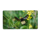 Pesquisar por abelhas etiquetas Flores