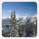 Pesquisar por ponto de vista adesivos Floresta