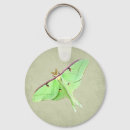 Pesquisar por entomologia chaveiros Mariposa