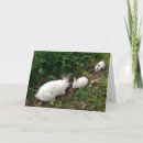 Pesquisar por happy mothers day cartoes Children