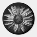 Pesquisar por flores delicadas imas Preto e branco