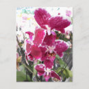 Pesquisar por flor exótica cartoes postais Orquídea