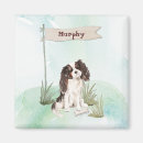 Pesquisar por três reis imas Cão