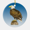 Pesquisar por águia americana ornamentos Natureza
