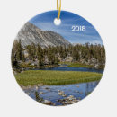 Pesquisar por mosquito ornamentos Qualquer pessoa