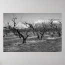 Pesquisar por paisagens preto branco pósteres pôsteres Foto