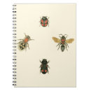 Pesquisar por inseto besouro cadernos de notas Insetos