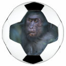 Pesquisar por selva bola futebol Macaco