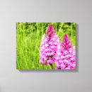 Pesquisar por fundo floral impressão de canvas Elegante