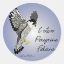 Pesquisar por peregrinos adesivos Peregrina