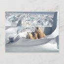 Pesquisar por filhote de urso polar cartoes postais Mãe