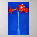 Pesquisar por amaryllis pôsteres Mondrian