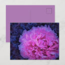 Pesquisar por rosa azul cartoes postais Primavera