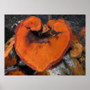 Pesquisar por hearts pôsteres Madeira