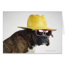 Pesquisar por bizarro cartoes postais Óculos