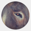 Pesquisar por donkey adesivos Fofofo