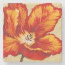 Pesquisar por tulipas porta copos Flores
