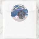 Pesquisar por suíno adesivos Feliz aniversário