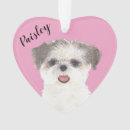 Pesquisar por castanha ornamentos For her