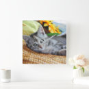 Pesquisar por pobre relogios de parede Gato