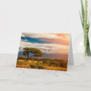 Pesquisar por árvore acácia cartoes postais Paisagem