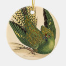 Pesquisar por pássaros coloridos ornamentos Para eles