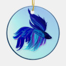 Pesquisar por betta ornamentos Luta