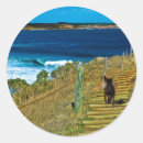 Pesquisar por chinese adesivos Fofo