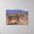 Pesquisar por arte leão impressão de canvas Quênia