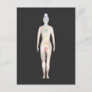 Pesquisar por reiki cartoes postais Meditação