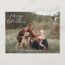 Pesquisar por eucalipto cartoes postais Elegante