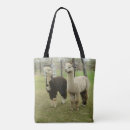 Pesquisar por alpaca minhas bolsas Lama
