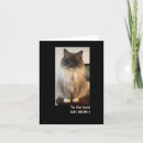 Pesquisar por gato com patas brancas cartoes For her