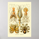 Pesquisar por vintage mars pósteres pôsteres Haeckel