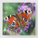 Pesquisar por pavão relogios de parede Borboleta