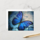 Pesquisar por natureza bonita cartoes postais Borboleta