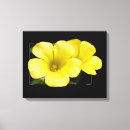 Pesquisar por amarelo impressão de canvas Preto